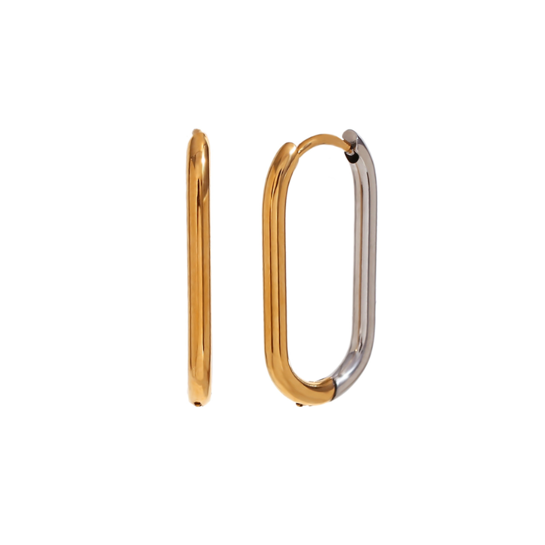 Dual Color Earrings